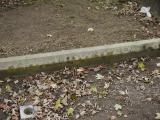 image of grave number 185954